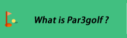 What is Par3golf