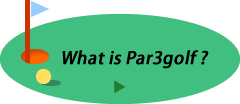 What is Par3golf